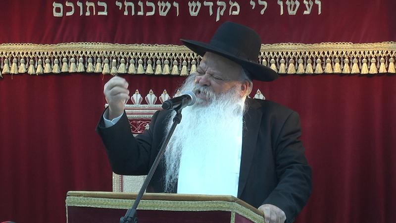 להרגיש את מתיקות התורה