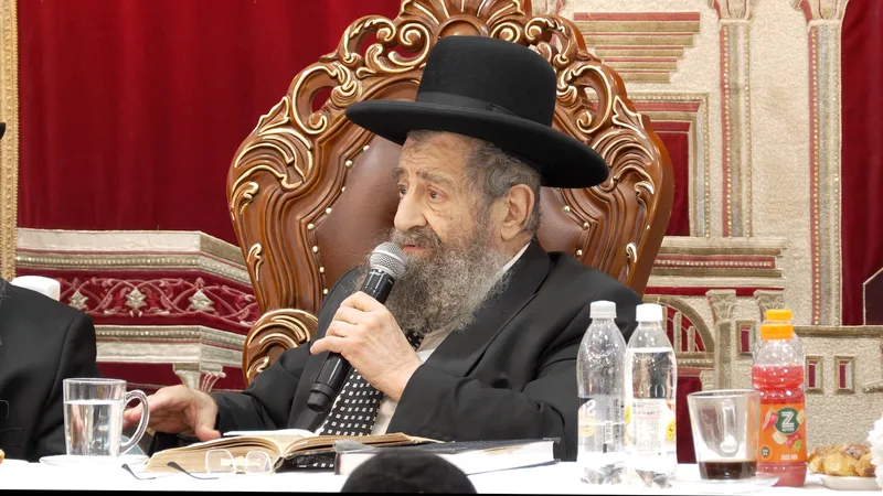 הנכד של רשבי