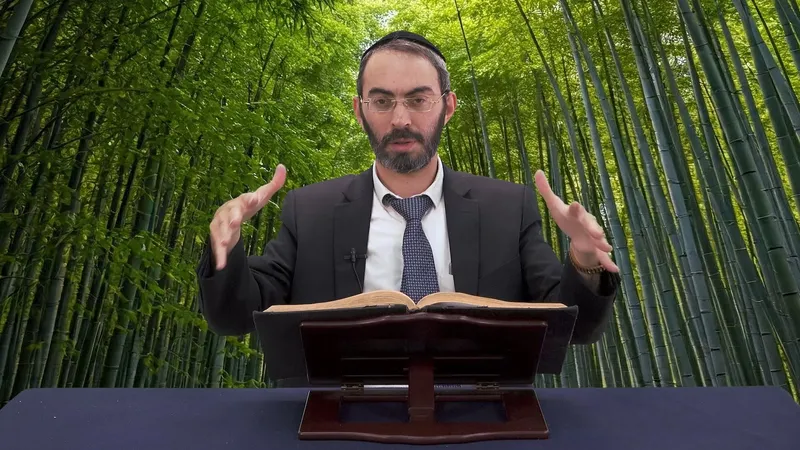 כמה זמן לוקח לעץ במבוק לגדול