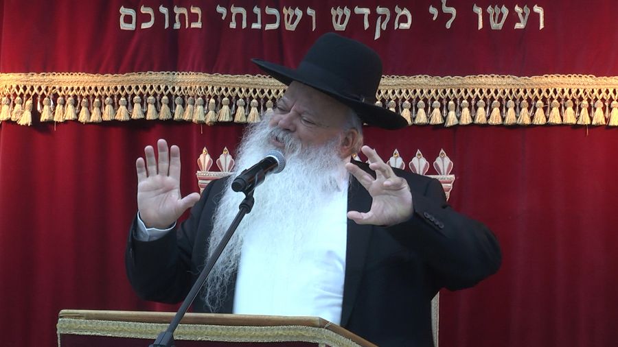 אין ביקורת אין התקדמות