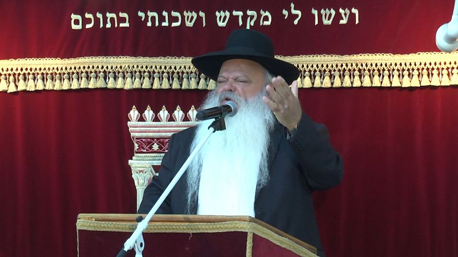 אוי אוי אוי