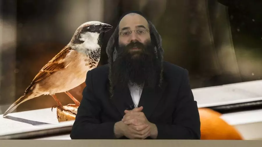 הציפור המסתורית